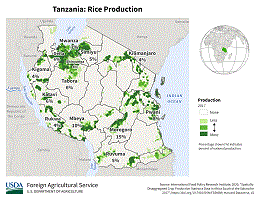 images\TZ\cropprod\TZ_Rice_preview.gif